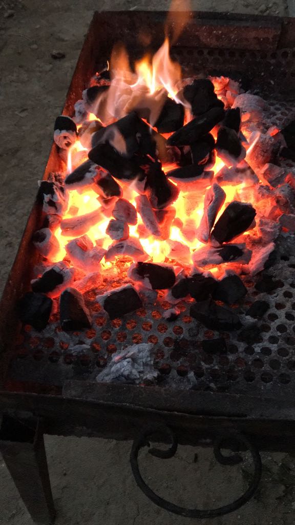 Mangal Kömürü